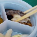 숙성회136 노원점