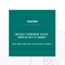 수리안