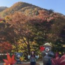 내장산국립공원화장실(제3주차장) 네이버블로그