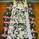 황*용 이미지