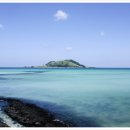 서사장의 잠재력 이미지