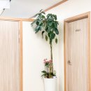 부부 | 목동 부부상담후기 갈등 끝에서 다시 손을 잡았습니다