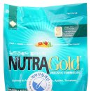 골드애견 이미지