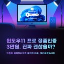 HOT PC | 윈도우11 프로 정품인증 3만원 솔직 후기 괜찮을까? 불안 포인트부터 정리해봅니다