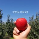 양짓담사과농장