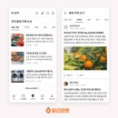 우리동네마켓 - 성남시 분당구 | 우리동네마켓