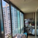 국제백양 이미지