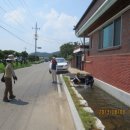 하사마을 이미지