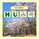 동탄센트럴파크 인라인스케이트장 | 동탄 벚꽃 명소 센트럴파크 러닝, 산책 코스로 추천