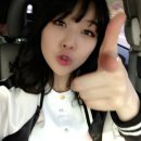 사박이 이미지