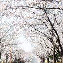 계명대학교행소박물관 이미지