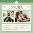 란동물병원 네이버블로그