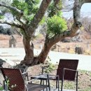 숲호텔 | 애월 숲속 숙소 신성의숲 웰니스 호텔 Ⅰ고객 후기에서 다시 배운 세심함