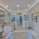 이루다 펫살롱 이미지