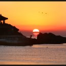 송정해변로 62 이미지