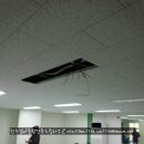 원주드림체육관 이미지