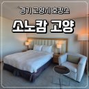 태극로 | 경기 고양 5성급 호텔 - '소노캄 고양' 체크인부터 슈페리어 스탠다드 객실 솔직 후기
