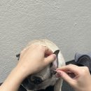 댕실댕실 이미지