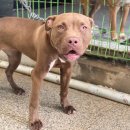 화정119안전센터 이미지