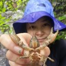 칠보사 Daum카페