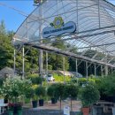 헬로우마켓 이미지