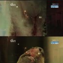 안녕, 멍멍아 이미지