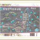 여수봉황산자연휴양림 이미지