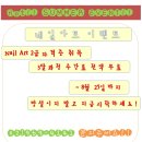 지금,네일 이미지