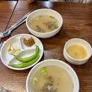 창신육회빈대떡 | 술슬러시를 맛볼 수 있는 창신육회3호점 추천 솔직후기