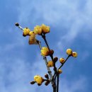 노안초등학교 이미지