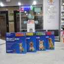 상록수약국 | [동물약국] 심장사상충약-하트세이버(Heart Saver)