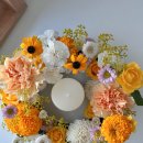 꽃꽂이 초.중급 이미지