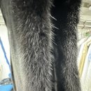 진도세탁소 이미지