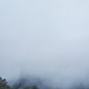 가은 해솔 캠핑장 이미지