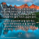 [명언 150선] 도성의 기회 명언/좋은글 - 15 이미지