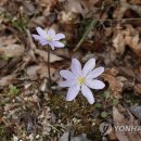 신현대자원