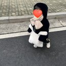 베베드샵 이미지