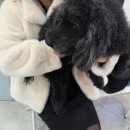 옥길아라동물의료센터 이미지