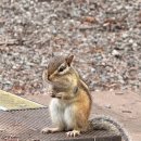 구운리 | 만산동국민여가캠핑장 데크 6번 셀토스 3인가족 캠핑 후기