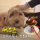 [부산 전포동 |­ 써브즈] 강아지 있는 전포 애견동반 브런치 카페 추천 ! 내돈내산 솔직후기