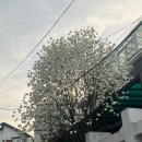 이삭세탁 이미지