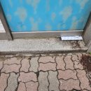 삼보세탁 이미지