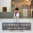 한국체대 국가대표 태권도 | [평택-고덕동, 태권도학원] 한국체대 국가대표 태권도 리슈빌관