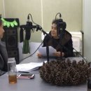 비누꽃으로만드는세상 이미지