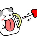 왕십리막내곱창 이미지