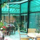 아이드림펫 이미지