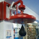 다윗복싱다이어트 이미지