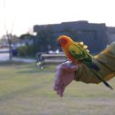 맑은물 사업소 옆 공원 이미지