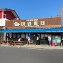 [제주] 서귀포 맛집 고등어회 전문 미영이네 포장 후기 (올레농수산)