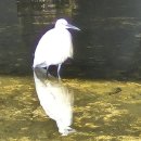 명성공인행정사 사무소 이미지